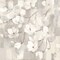 Magnolias in Spring I Neutral Poster Print by Albena Hristova - Item # VARPDX44774